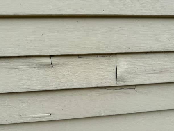 Best Siding Painting and Refinishing  in Opp, AL